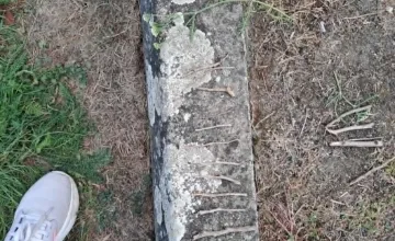 .